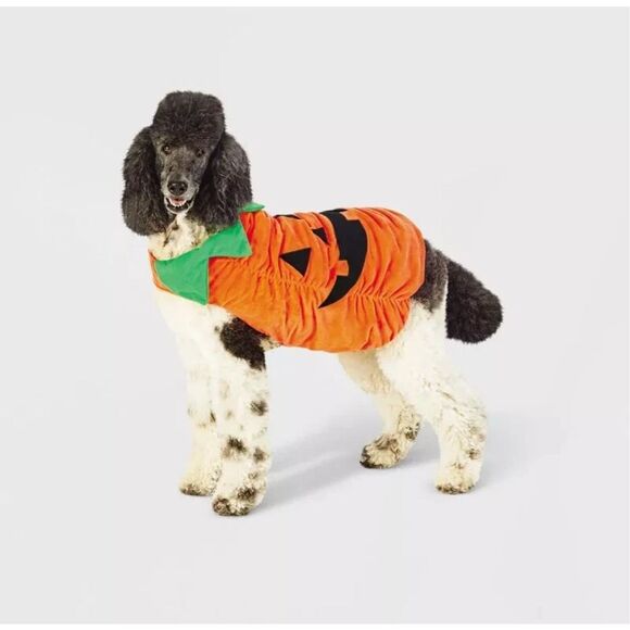 Halloween Plush Pumpkin Dog and Cat Costume - Hyde & EEK! Boutique Medium - Picture 1 of 5